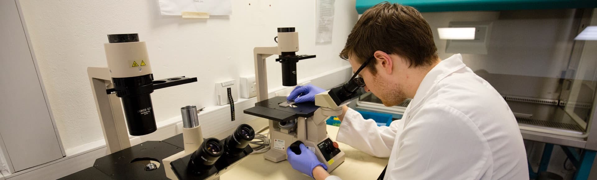 Medical research charity Scotland